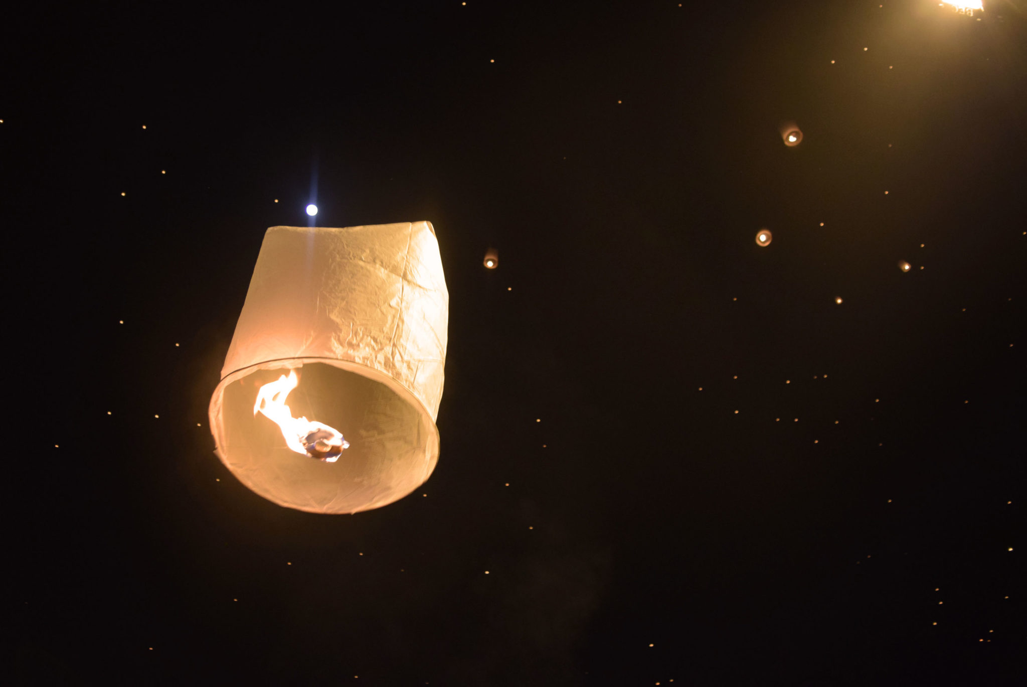 Float away best sale lanterns