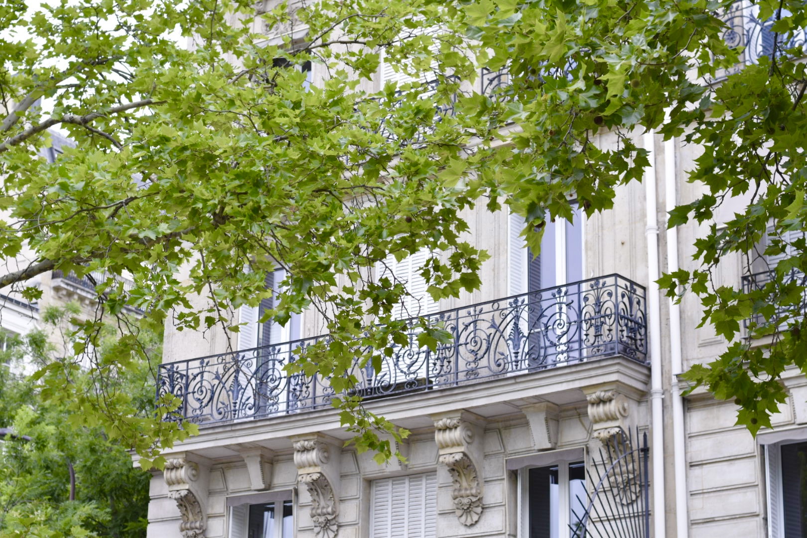 Goyard Luxury Store in Paris with Window and and People Waiting in